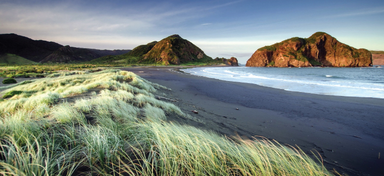 ISO Certification in Auckland