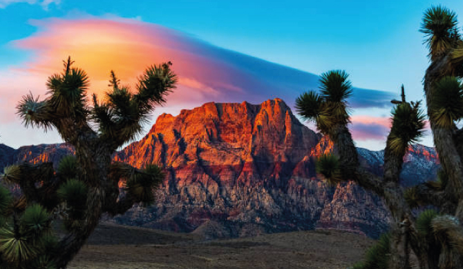 ISO Certification in Nevada